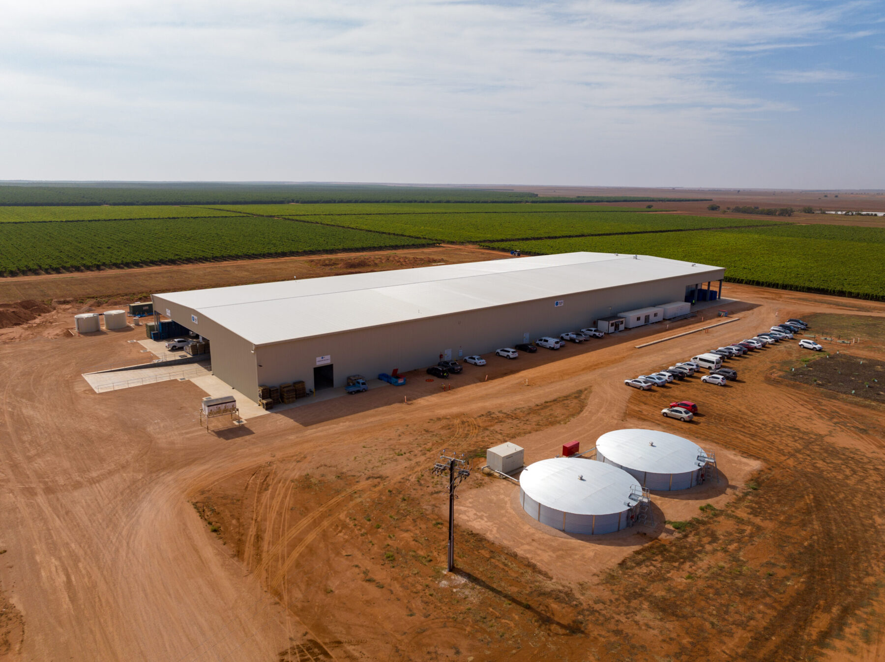 Talia Farms a Goldmine Opportunity for Investors, Fresh Produce Operators