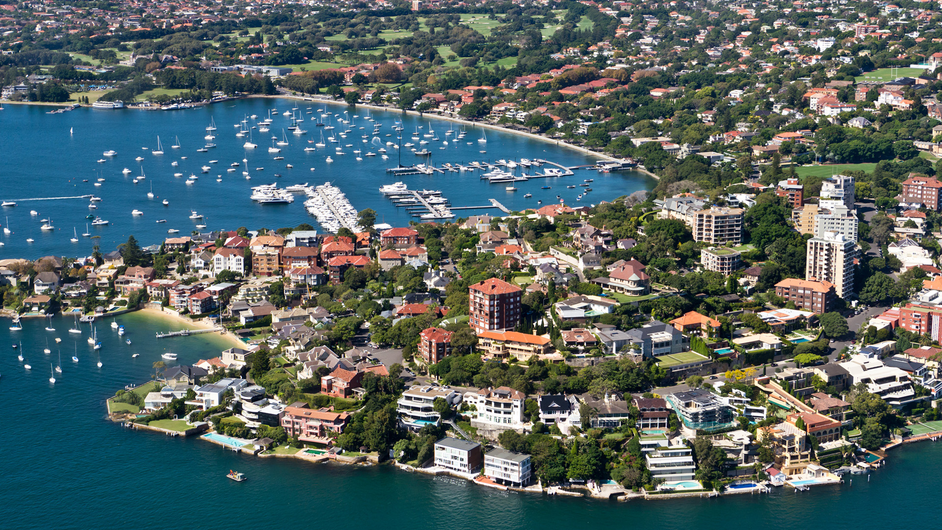 Apartment Boom Set to Reshape Rose Bay