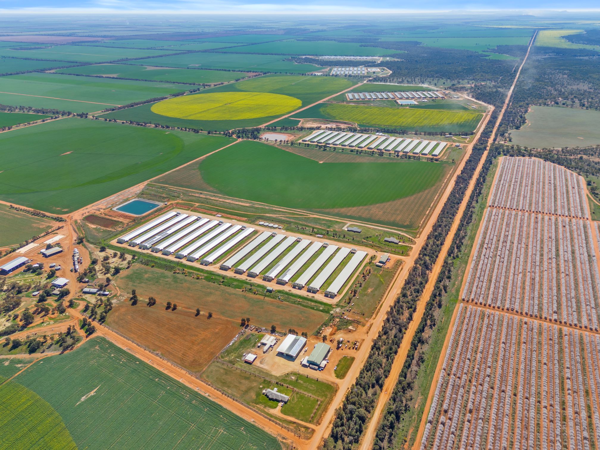 ​​Bumper Broiler Farm Portfolio Offers Unprecidented Scale and Quality ​ 
