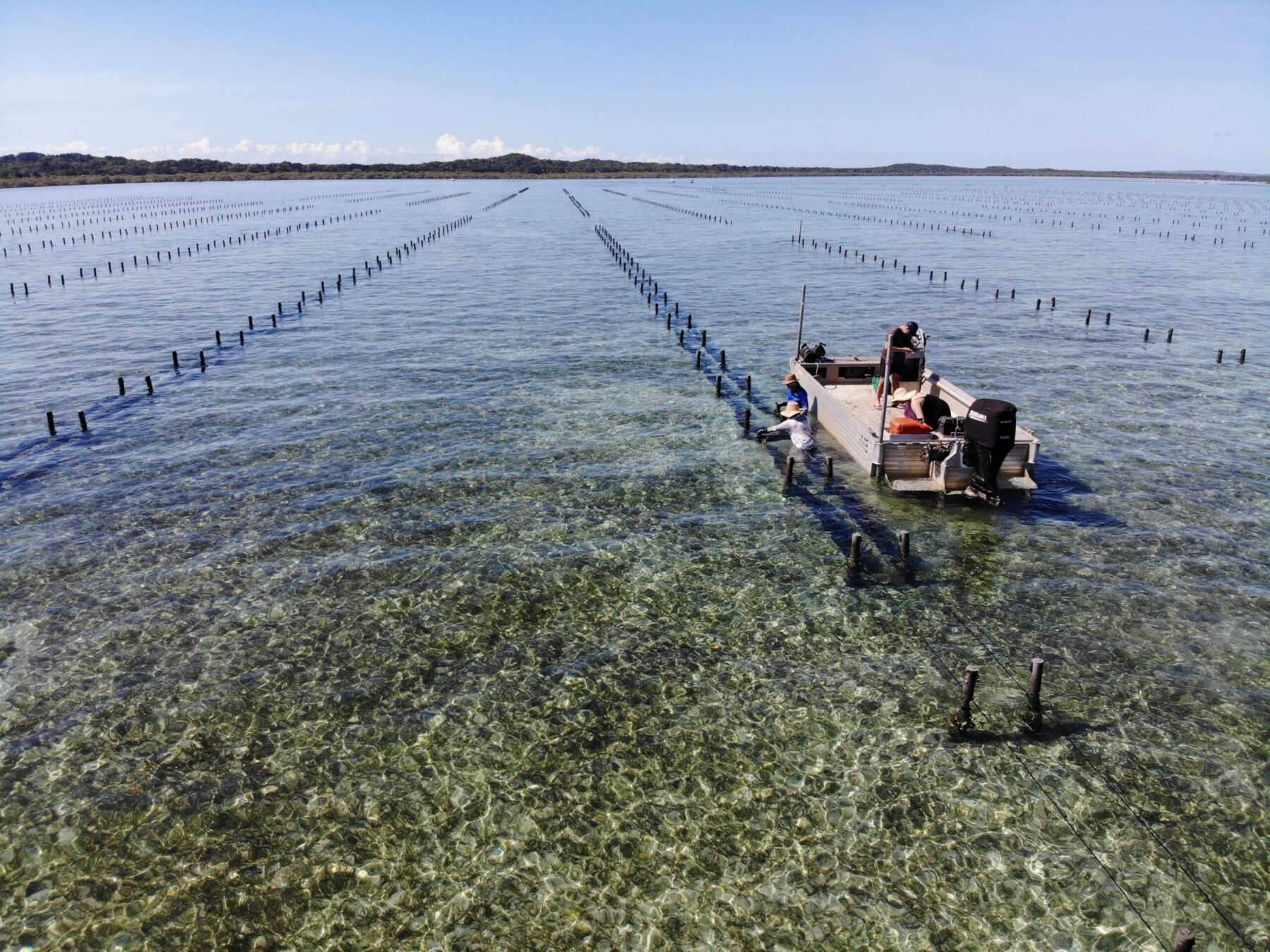 A Rare Catch: Queensland’s Largest Land-Based Oyster Farm Hits the Market | JLL