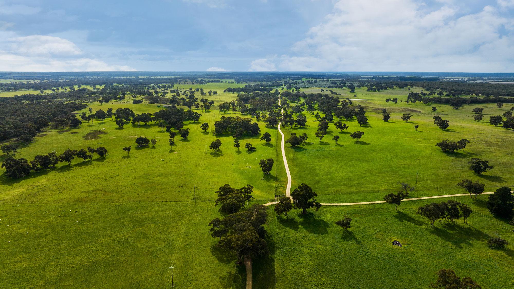 A major South East SA grazing property hits the market